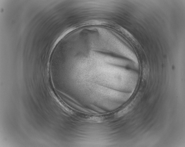 X0000081561178200701291142