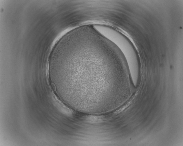 X0000081561179200701291142