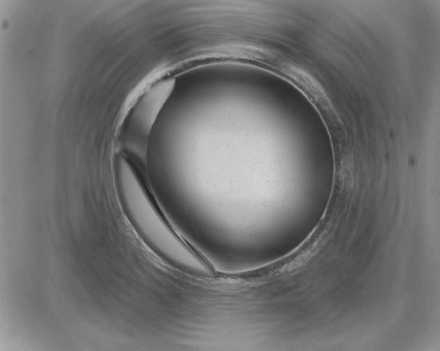 X0000081561180200701291142