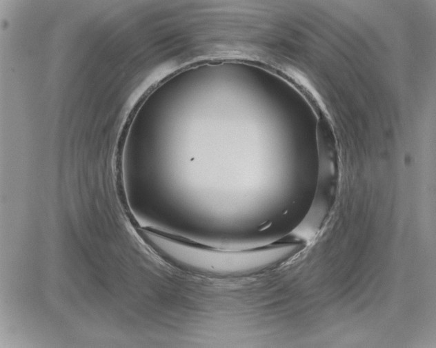 X0000081561181200701291142