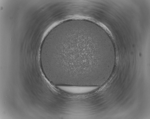 X0000081561183200701291142