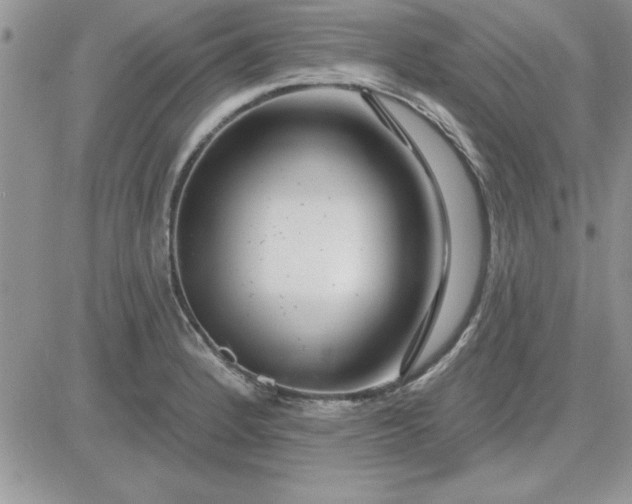 X0000081561184200701291142