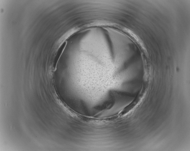 X0000081561185200701291142