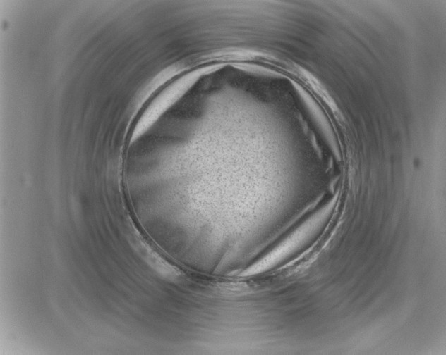 X0000081561186200701291142