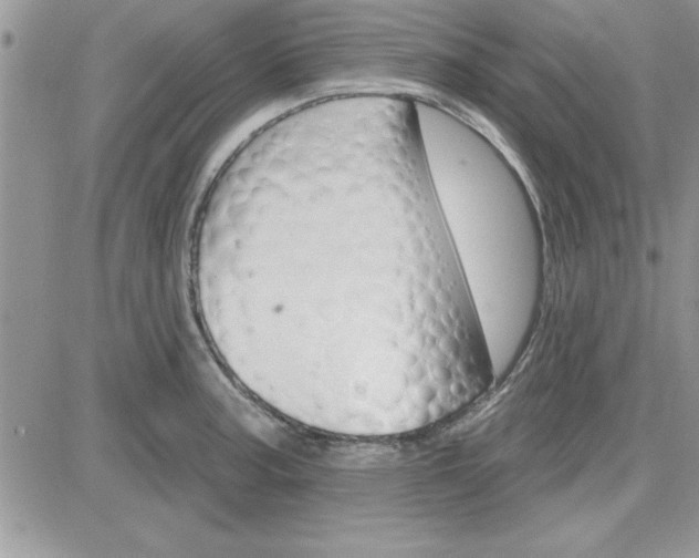 X0000081561187200701291142