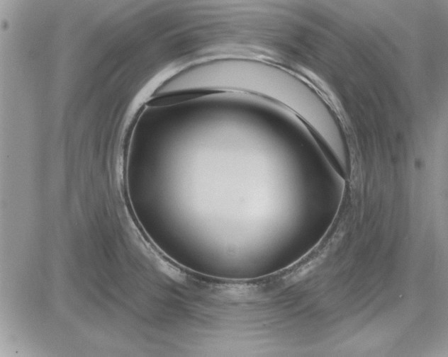 X0000081561188200701291142