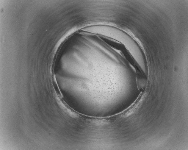 X0000081561189200701291142