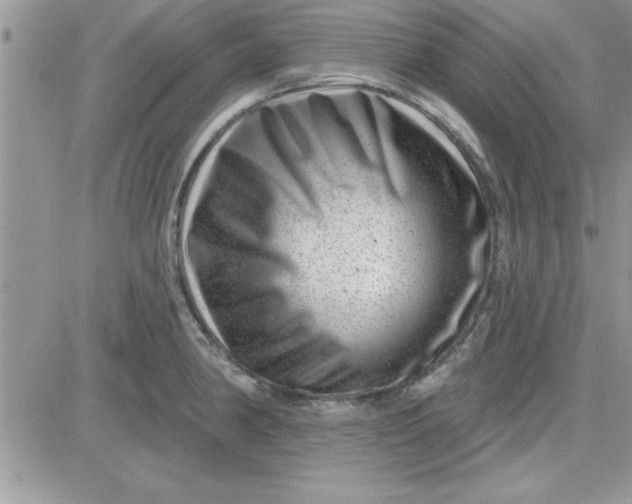 X0000081561190200701291142