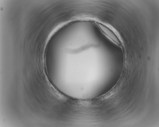 X0000081561191200701291142