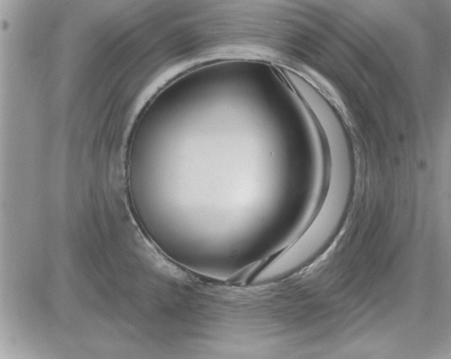 X0000081561192200701291142