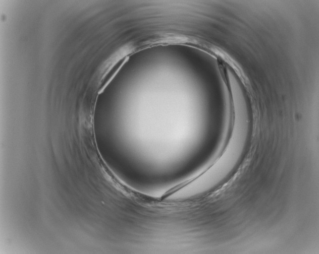 X0000081561193200701291142