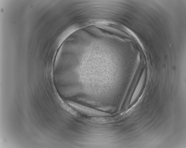 X0000081561194200701291142