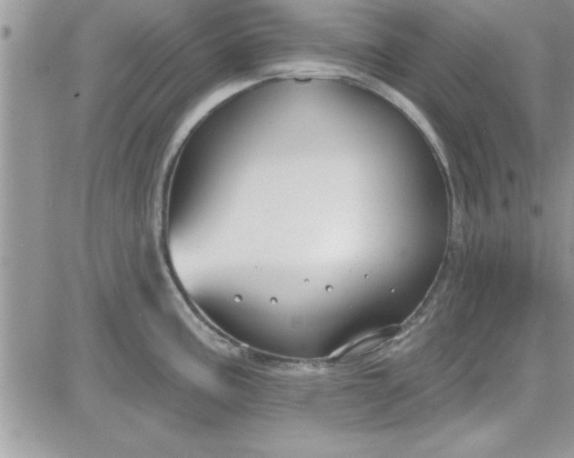 X0000081561195200701291142