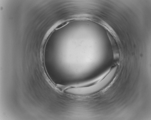 X0000081561196200701291142