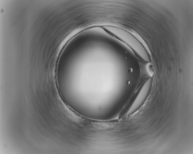 X0000081561197200701291142