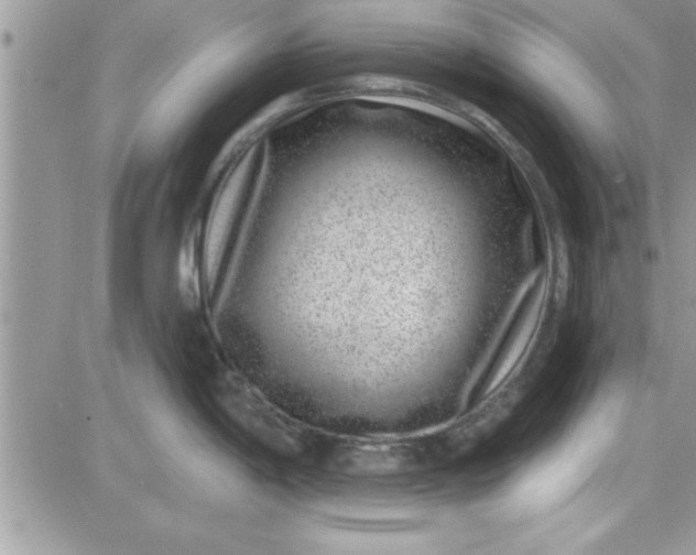 X0000081561198200701291142