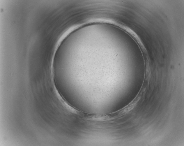 X0000081561199200701291142