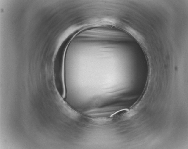 X0000081561200200701291142