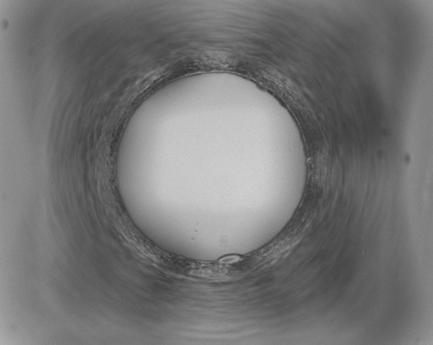 X0000081561201200701291141