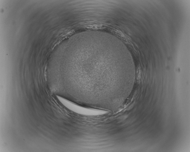 X0000081561202200701291141