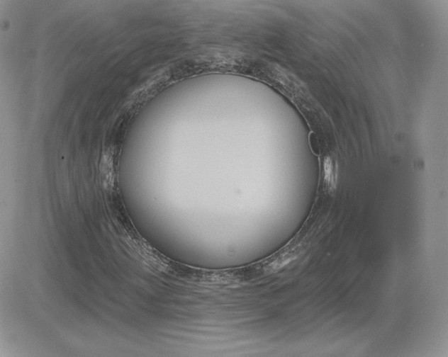 X0000081561203200701291141