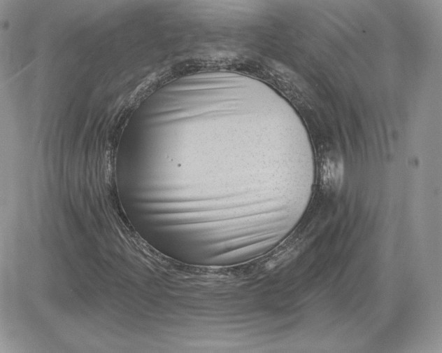 X0000081561204200701291141