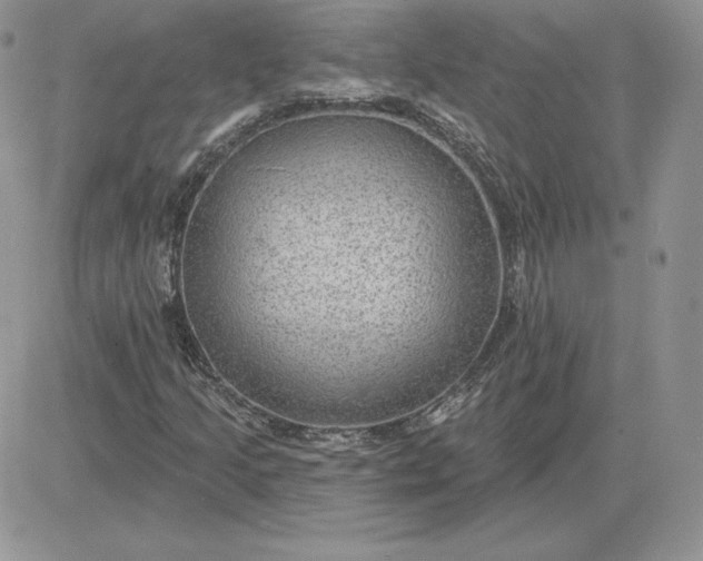 X0000081561205200701291141