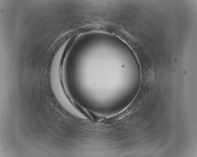 X0000081561206200701291141