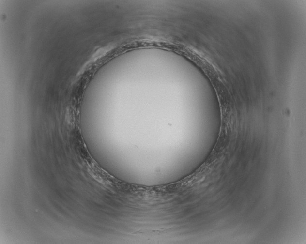 X0000081561207200701291141