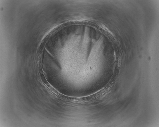 X0000081561208200701291141