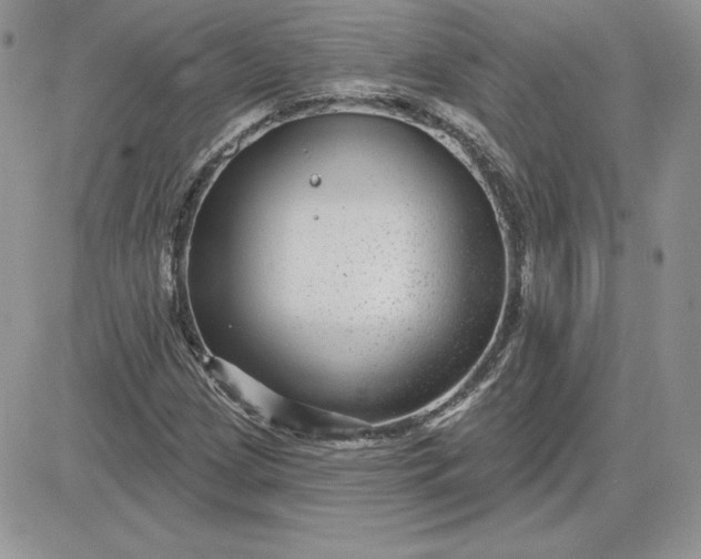 X0000081561209200701291141