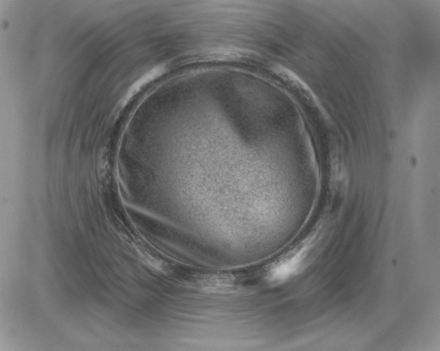 X0000081561210200701291141