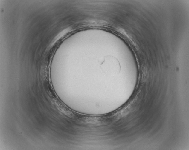 X0000081561211200701291141