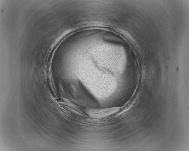 X0000081561212200701291141