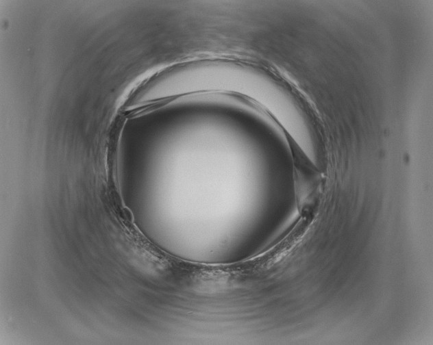 X0000081561214200701291141