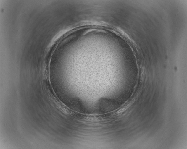 X0000081561215200701291141