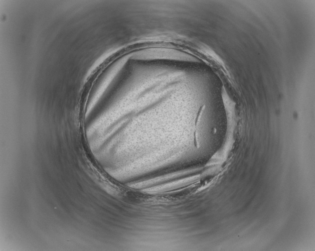 X0000081561216200701291141