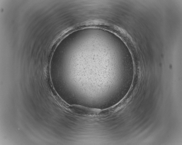 X0000081561217200701291141