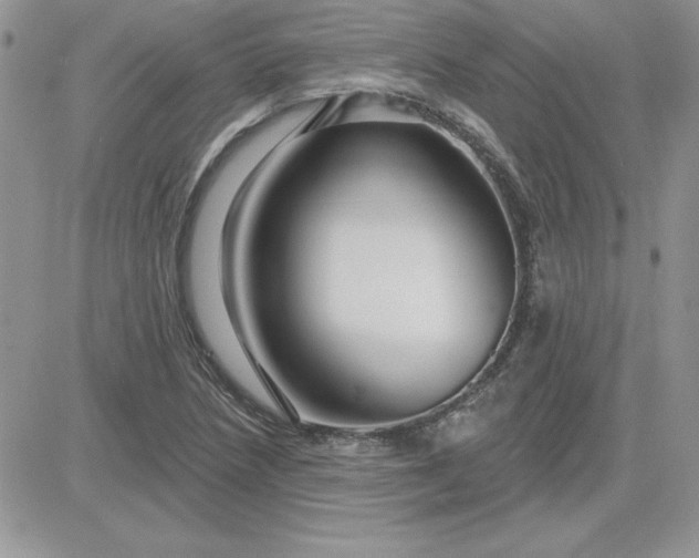 X0000081561218200701291141