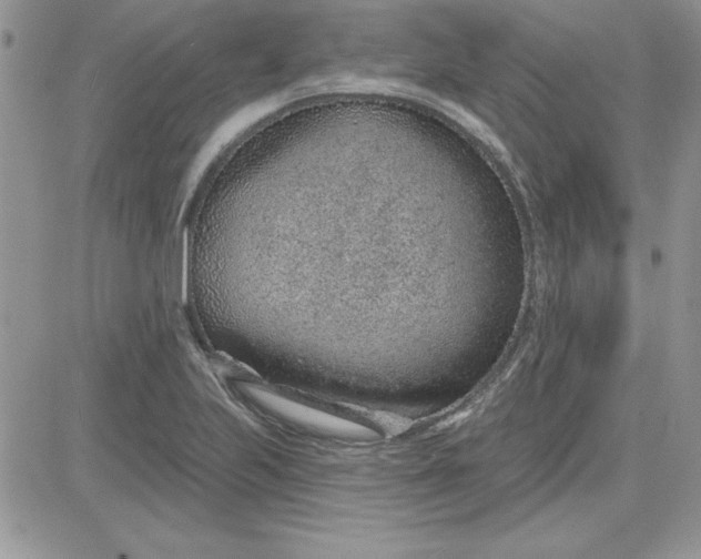 X0000081561223200701291141