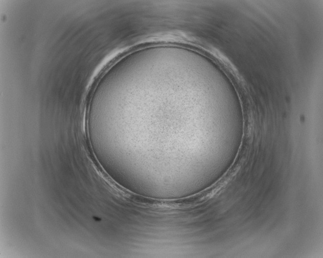 X0000081561224200701291141