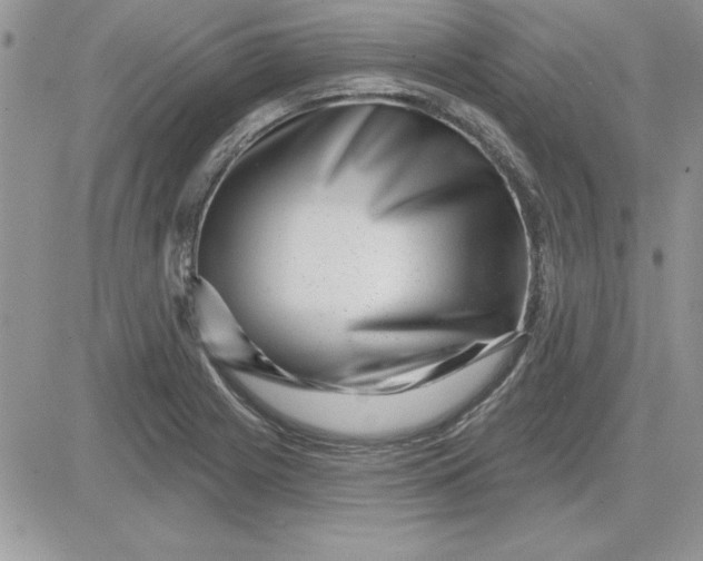 X0000081561225200701291141