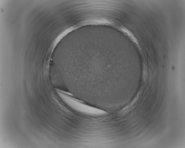 X0000081561226200701291141