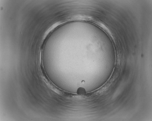 X0000081561227200701291141