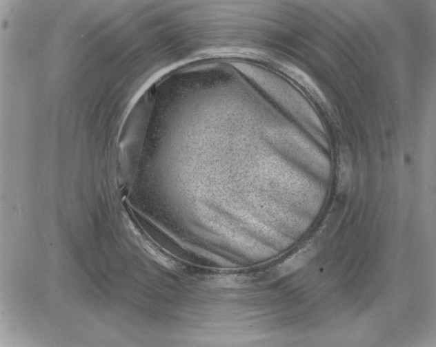 X0000081561228200701291141