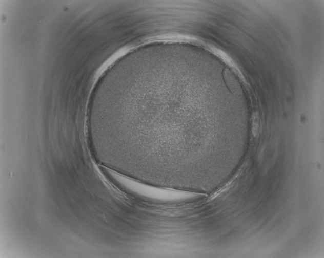 X0000081561229200701291141