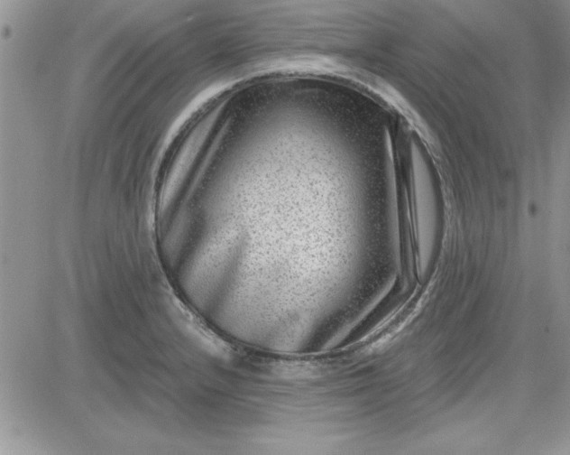 X0000081561232200701291141