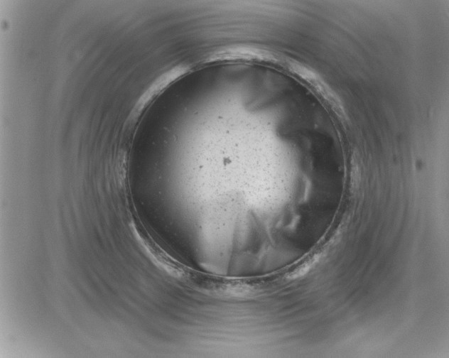 X0000081561233200701291141