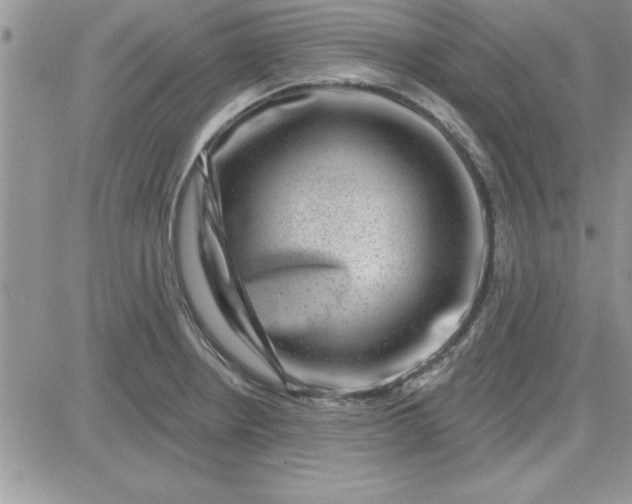 X0000081561234200701291141