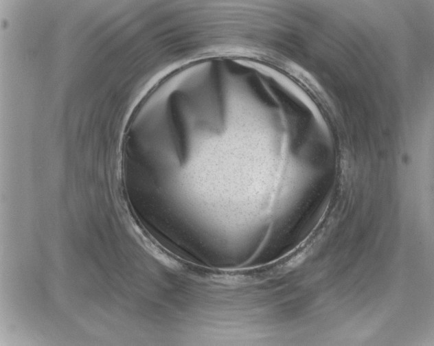 X0000081561236200701291141